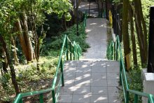 Trasa biegu po schodach w Toruniu