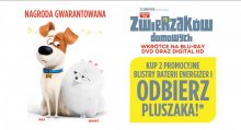 Maskotka - Sekretne życie zwierzaków domowych GRATIS