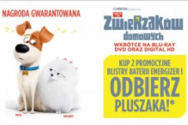 Maskotka - Sekretne życie zwierzaków domowych GRATIS